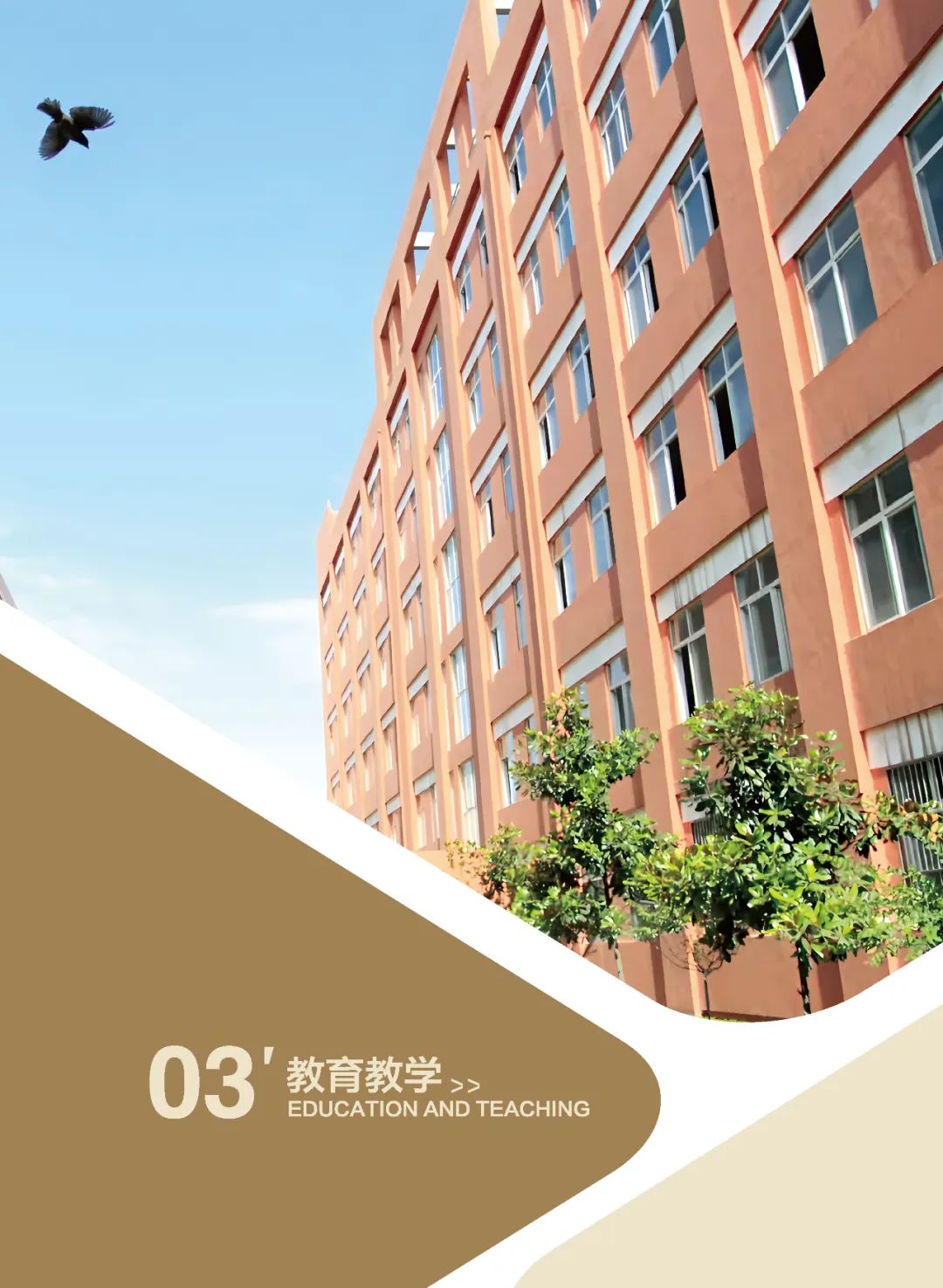 屏幕截图 2025-02-11 141954.png