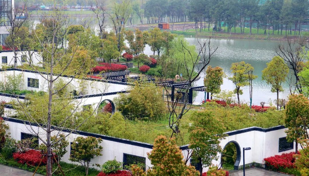 60 环境设计1811 夏铃芳 春驻园子.jpg